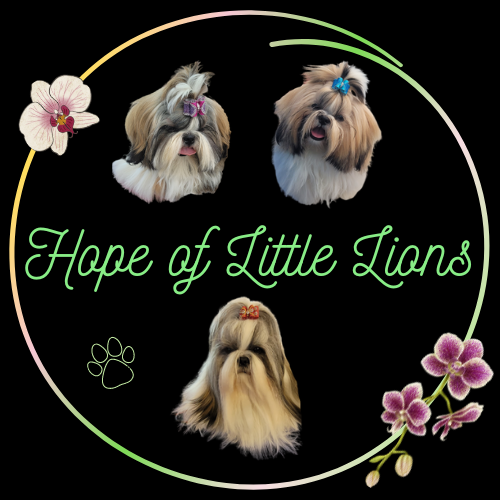 Hope Of Little Lions